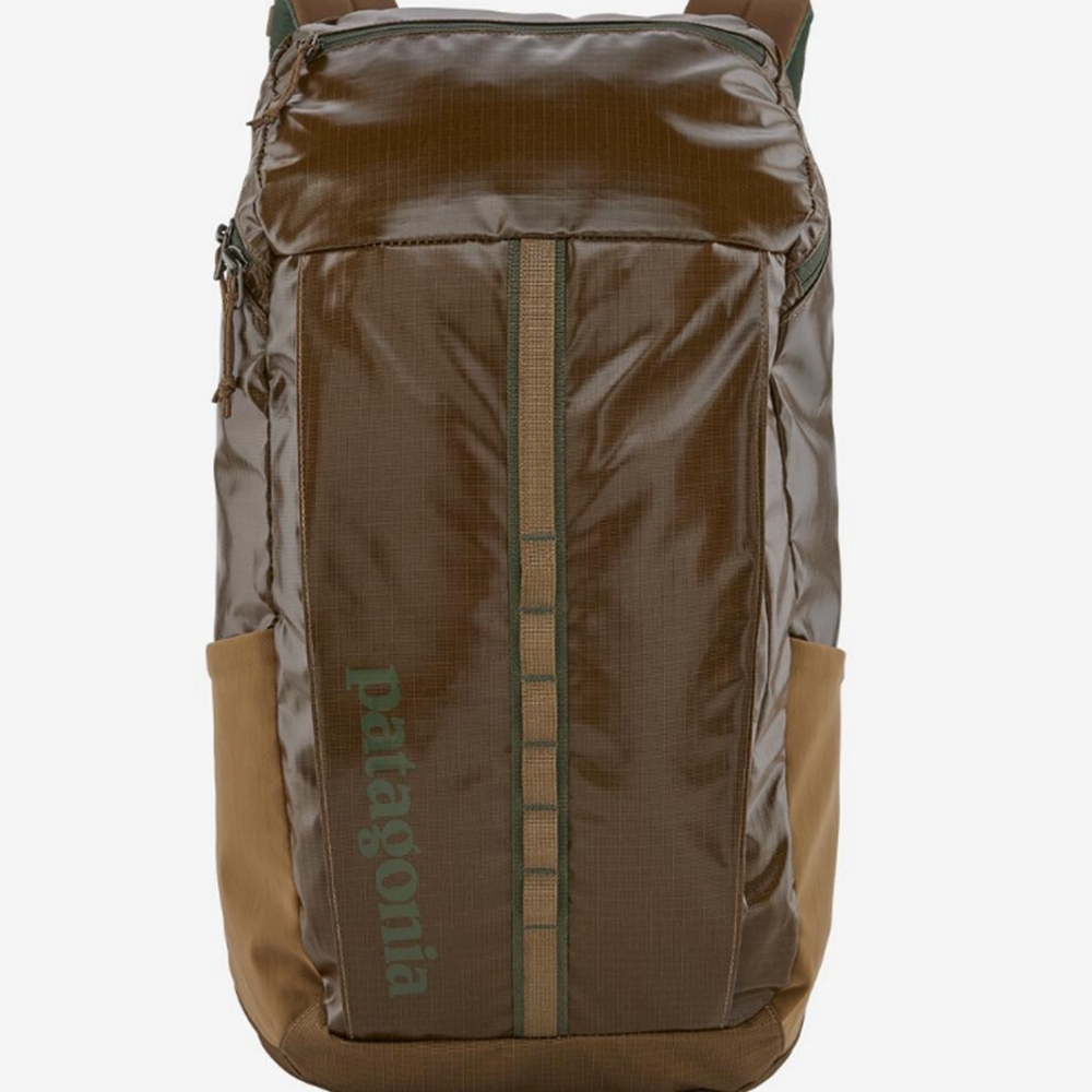 Patagonia Brown and Tan Men's Backpack